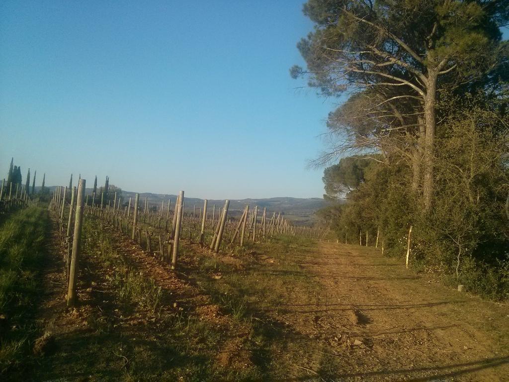 Argiano Dimore Wine Relais Exterior foto