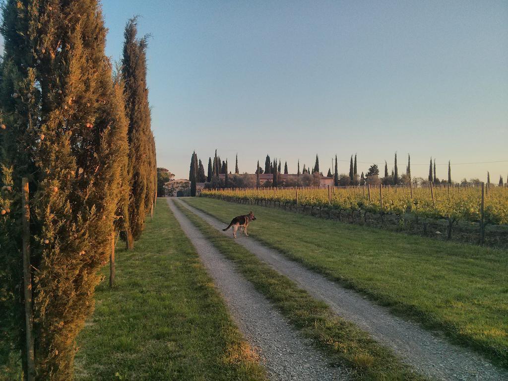 Argiano Dimore Wine Relais Exterior foto